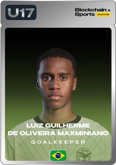 Francisco Vinicius Pessoa Pinto