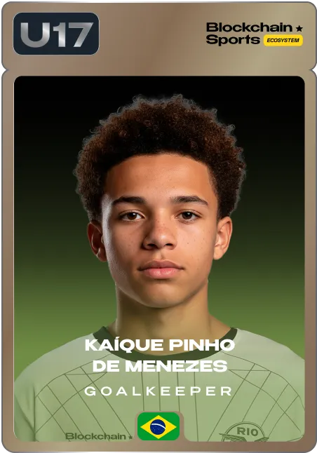 Kaíque Pinho de Menezes